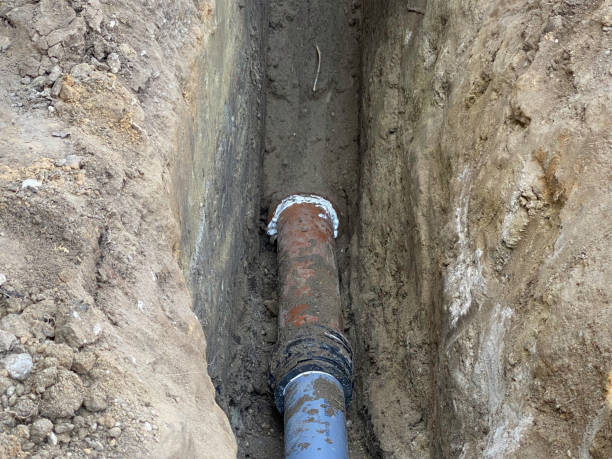 Best Flood restoration services  in Carmi, IL