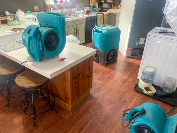 Best Residential water damage restoration  in Carmi, IL
