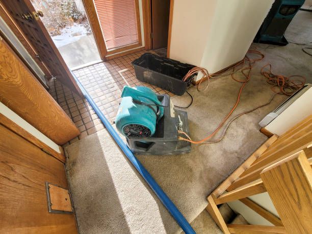 Best Professional water damage repair  in Carmi, IL