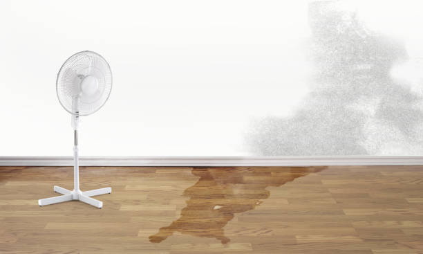 Best Water damage restoration near me  in Carmi, IL