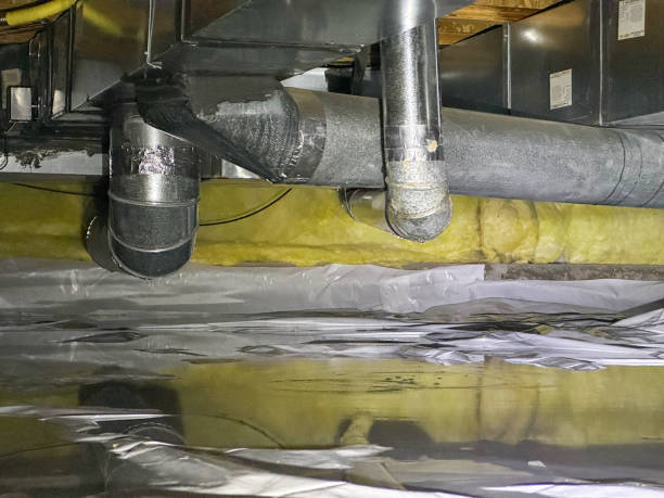Best Sewage cleanup and water damage restoration  in Carmi, IL