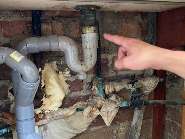  Carmi, IL Water damage restoration Pros