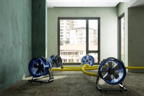 Best Fire Damage Restoration  in Carmi, IL